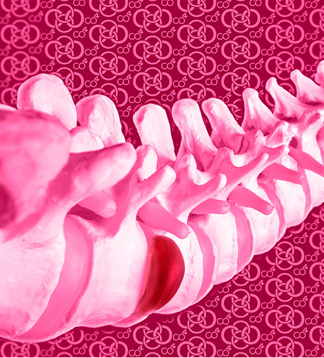 Mikrochirurgische Bandscheiben-operationen. Die Ansprechpartner sind Herr Dr. med. Jan-Marcel Hanssen und Herr Dr. med. Lukas Braun.