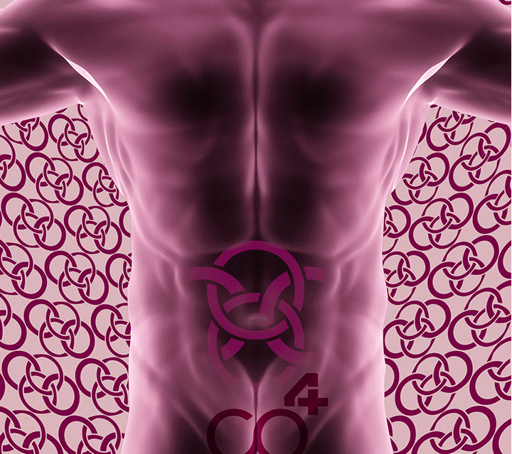 Bild Korpus mit Praxislogo symbolisiert Hernienchirurgie - Fachgebiete der Orthopädische und Chirurgische Praxis&nbsp; Berner´s Braun Schneider