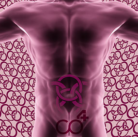 Bild Korpus mit Praxislogo symbolisiert Hernienchirurgie - Fachgebiete der Orthopädische und Chirurgische Praxis&nbsp; Berner´s Braun Schneider