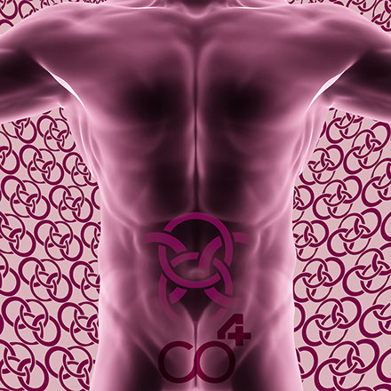 Bild Korpus mit Praxislogo symbolisiert Hernienchirurgie - Fachgebiete der Orthopädische und Chirurgische Praxis&nbsp; Berner´s Braun Schneider