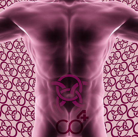 Bild Korpus mit Praxislogo symbolisiert Hernienchirurgie - Fachgebiete der Orthopädische und Chirurgische Praxis&nbsp; Berner´s Braun Schneider