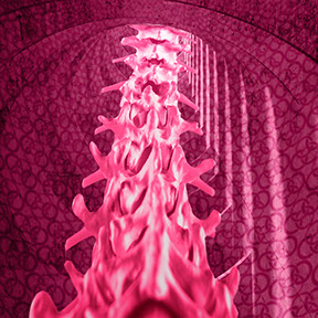 Konservative Therapie von Knochenbrüchen im Korsett. Die Ansprechpartner sind Herr Dr. med. Jan-Marcel Hanssen und Herr Dr. med. Lukas Braun.