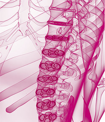 Bild Rückgrat u. Praxislogo symbolisiert Orthopädie. Eines der Fachgebiete der Orthopädische und Chirurgische Praxis  Berner´s Braun Schneider
