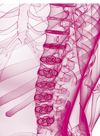 Bild Rückgrat u. Praxislogo symbolisiert Orthopädie. Eines der Fachgebiete der Orthopädische und Chirurgische Praxis  Berner´s Braun Schneider