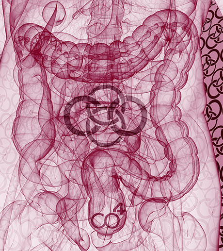 Das Bild sympolisiert Proktologie eines unserer Praxishauptthemengebiete, Orthopädische und Chirurgische Praxis&nbsp; Berner´s Braun Schneider
