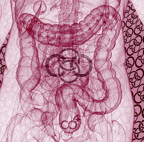 Das Bild sympolisiert Proktologie eines unserer Praxishauptthemengebiete, Orthopädische und Chirurgische Praxis&nbsp; Berner´s Braun Schneider