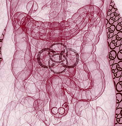 Das Bild sympolisiert Proktologie eines unserer Praxishauptthemengebiete, Orthopädische und Chirurgische Praxis&nbsp; Berner´s Braun Schneider
