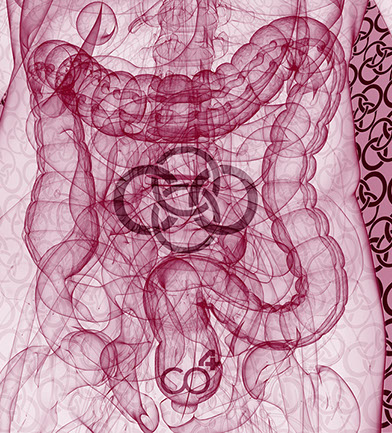 Das Bild sympolisiert Proktologie eines unserer Praxishauptthemengebiete, Orthopädische und Chirurgische Praxis&nbsp; Berner´s Braun Schneider