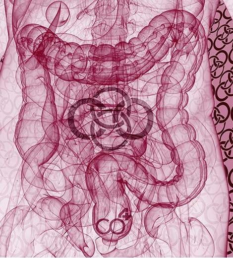 Das Bild sympolisiert Proktologie eines unserer Praxishauptthemengebiete, Orthopädische und Chirurgische Praxis&nbsp; Berner´s Braun Schneider