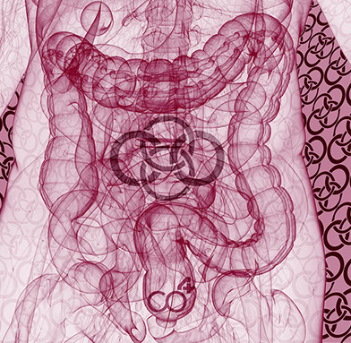 Das Bild sympolisiert Proktologie eines unserer Praxishauptthemengebiete, Orthopädische und Chirurgische Praxis&nbsp; Berner´s Braun Schneider