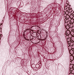 Das Bild sympolisiert Proktologie eines unserer Praxishauptthemengebiete, Orthopädische und Chirurgische Praxis&nbsp; Berner´s Braun Schneider