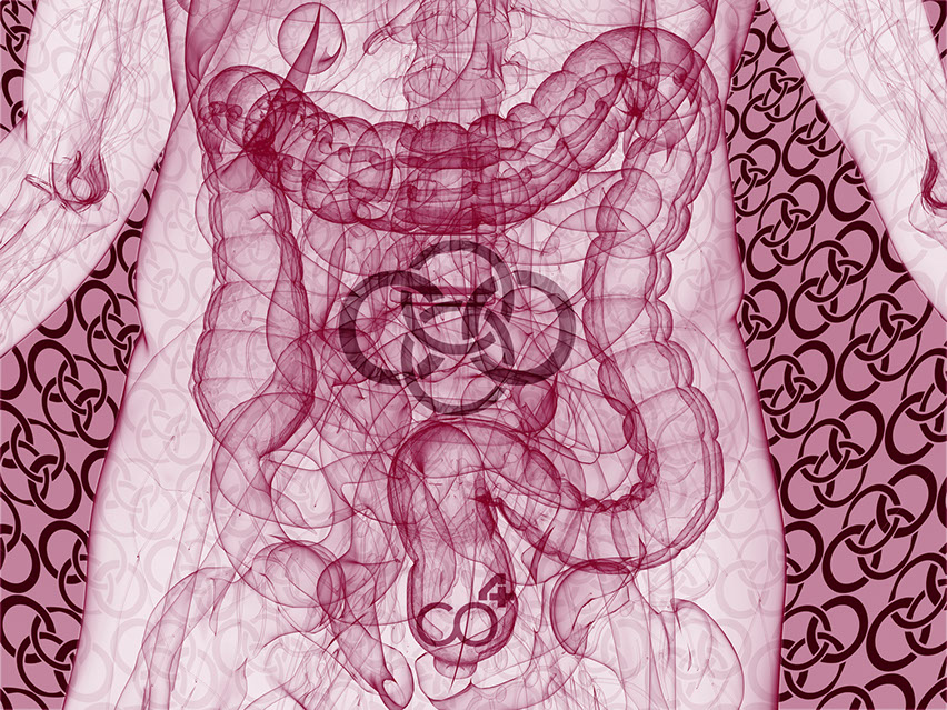 Das Bild sympolisiert Proktologie eines unserer Praxishauptthemengebiete, Orthopädische und Chirurgische Praxis&nbsp; Berner´s Braun Schneider