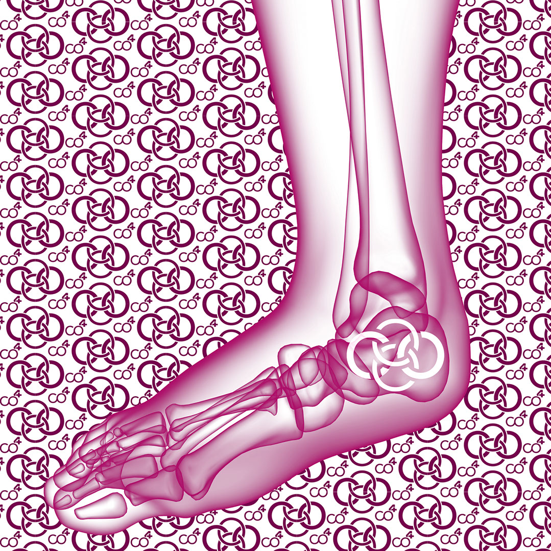 Röntgenbild mit Praxislogo symbolisiert Hernienchirurgie - Fachgebiete der Orthopädische und Chirurgische Praxis  Berner´s Braun Schneider.