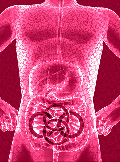 Bild Korpus mit Praxislogo symbolisiert Hernienchirurgie - Fachgebiete der Orthopädische und Chirurgische Praxis  Berner´s Braun Schneider