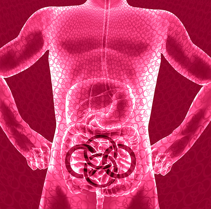 Bild Korpus mit Praxislogo symbolisiert Hernienchirurgie - Fachgebiete der Orthopädische und Chirurgische Praxis  Berner´s Braun Schneider