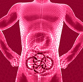 Bild Korpus mit Praxislogo symbolisiert Hernienchirurgie - Fachgebiete der Orthopädische und Chirurgische Praxis  Berner´s Braun Schneider