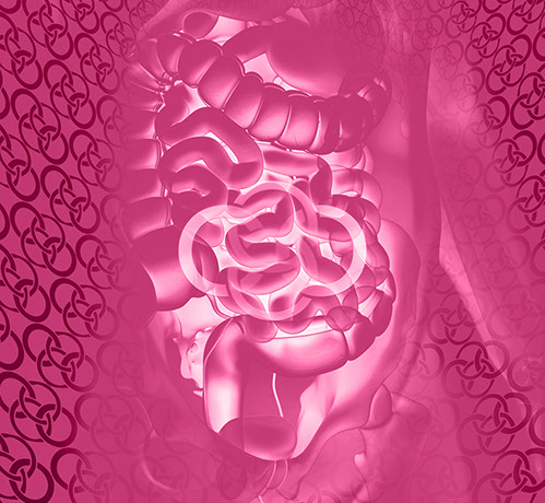 Bild Rückgrat mit Praxislogo symbolisiert Weichteilechirurgie&nbsp;&nbsp; Fachgebiete der Orthopädische und Chirurgische Praxis&nbsp; Berner´s Braun Schneider.