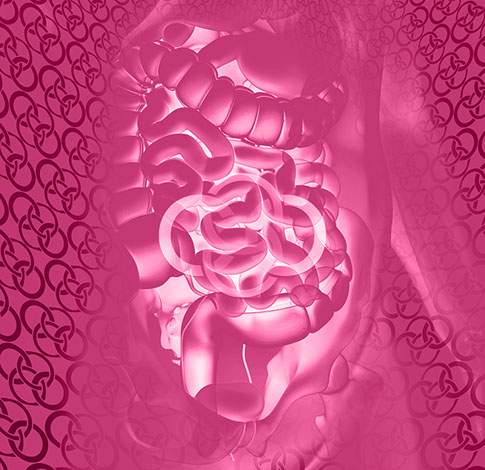 Bild Rückgrat mit Praxislogo symbolisiert Weichteilechirurgie&nbsp;&nbsp; Fachgebiete der Orthopädische und Chirurgische Praxis&nbsp; Berner´s Braun Schneider.