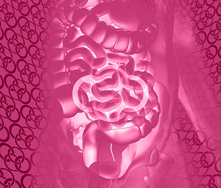 Bild Rückgrat mit Praxislogo symbolisiert Weichteilechirurgie&nbsp;&nbsp; Fachgebiete der Orthopädische und Chirurgische Praxis&nbsp; Berner´s Braun Schneider.