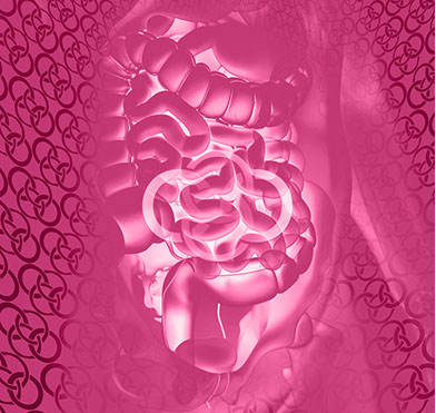 Bild Rückgrat mit Praxislogo symbolisiert Weichteilechirurgie&nbsp;&nbsp; Fachgebiete der Orthopädische und Chirurgische Praxis&nbsp; Berner´s Braun Schneider.