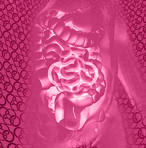 Bild Rückgrat mit Praxislogo symbolisiert Weichteilechirurgie&nbsp;&nbsp; Fachgebiete der Orthopädische und Chirurgische Praxis&nbsp; Berner´s Braun Schneider.